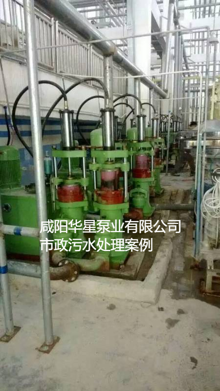 污水處理廠使用YBH200咸陽柱塞泵現(xiàn)場(chǎng)